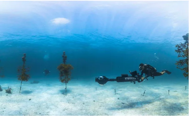 A diver filming a coral nursery structure in the Florida Keys National Marine Sanctuary